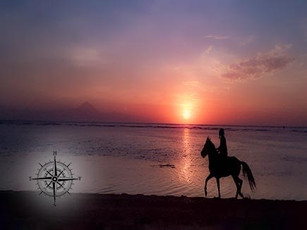 How To Get To The Gili Islands From Lombok 2 Horse on Beach at Sunset